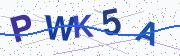 Security code image